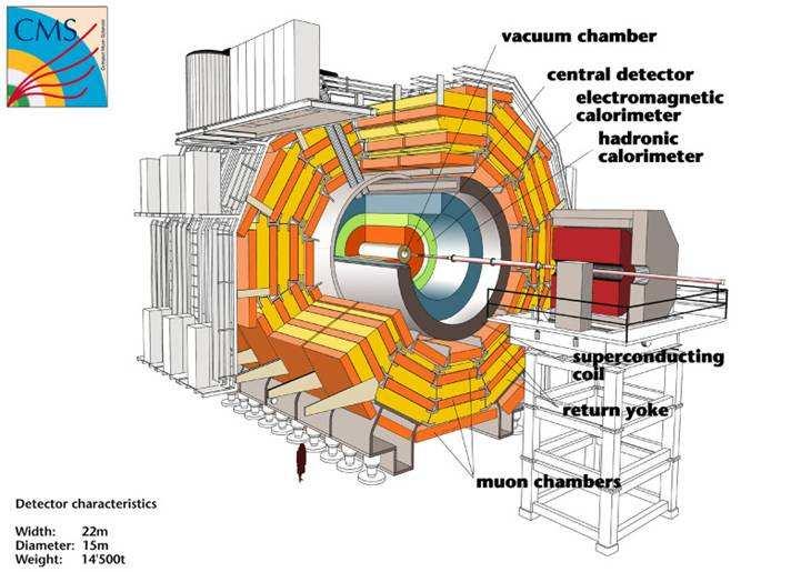 1.3 L esperimento Compact Muon Solenoid (CMS) Figura 1.