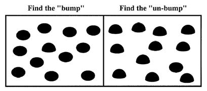 Asimmetrie nella ricerca visiva Kristjansson & Tse (2001) Vs Trova il bump Trova l un-bump Vs Rilevare la presenza di una caratteristica è più facile che rilevarne l assenza Rilevare la presenza è