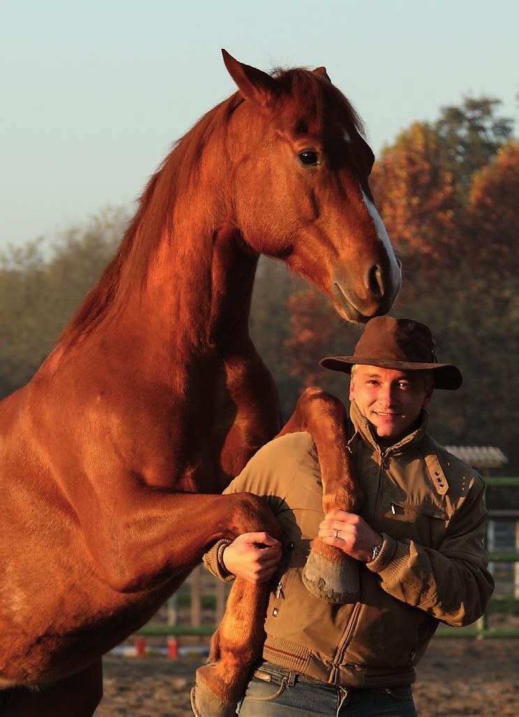 Agriturismo equestre culturale info@emanueleradice.com www.