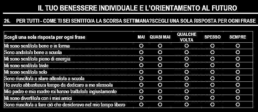 QUESTIONARIO