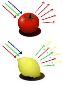 LA LUCE PERCEZIONE DELLA LUCE GLI OGGETTI VENGONO COLPITI DALLA LUCE E