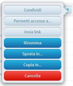 1.2 Condivisione cartelle 1.2.1 Modulo in Pronto E possibile inoltre condividere con altri utenti del proprio dominio le cartelle.