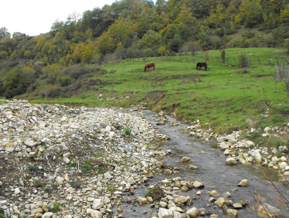 Risultati 3 RISULTATI Torrente Vomano (Località: Ponte S.