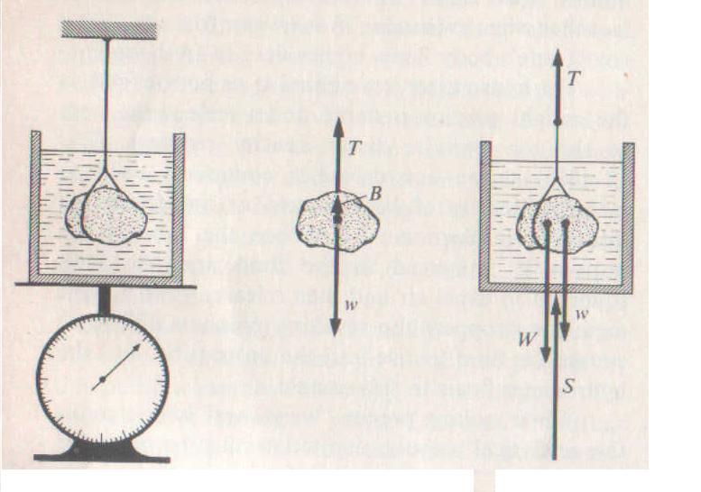 Come esare la sinta di Archimede Un reciiente ieno d acqua è osto su una bilancia che indica un eso W. Una ietra che esa w, agganciata ad una corda, viene immersa nell acqua senza toccare il fondo.