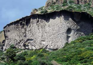 milmente alle piramidi di terra, risulta protetta dall erosione dal cappello delle ignimbriti (Fig. 9). Non sono mancati i rilevamenti floristici, qui brevemente riassunti: Allium subhirsutum subsp.