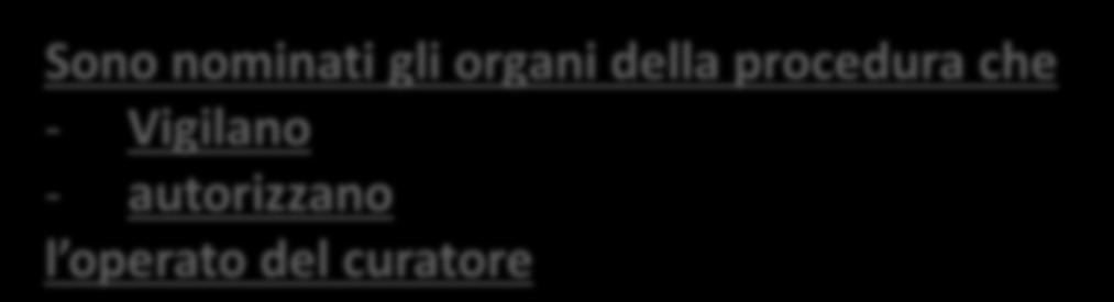 Fallimento E una procedura esecutiva Prevede lo spossessamento dei beni del debitore Nomina il curatore fallimentare (legale