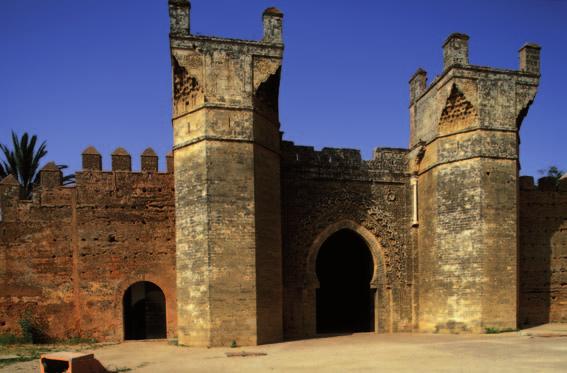 oasi. ITALIA / CAsABLANCA. Arrivo e, dopo il disbrigo delle formalità doganali, trasferimento CAsABLANCA / RABAT km 100 ca.