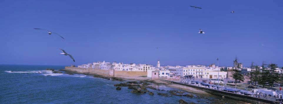 Gli splendidi Giardini della Menara con il grande lago centrale, la Moschea di Koutoubia, stupendo esempio di arte moresca affiancata da un minareto alto 70 metri, le Tombe Saadiane, il sontuoso