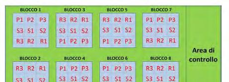 Spina 3 - suolo suolo sabbio-limoso, elevato scheletro (39%); ph 8.5; carbonio org. 2.1 %, azoto 0.