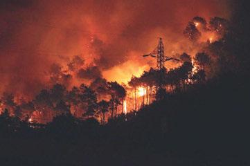 BOSCHIVI E IN ALTRE EMERGENZE DI