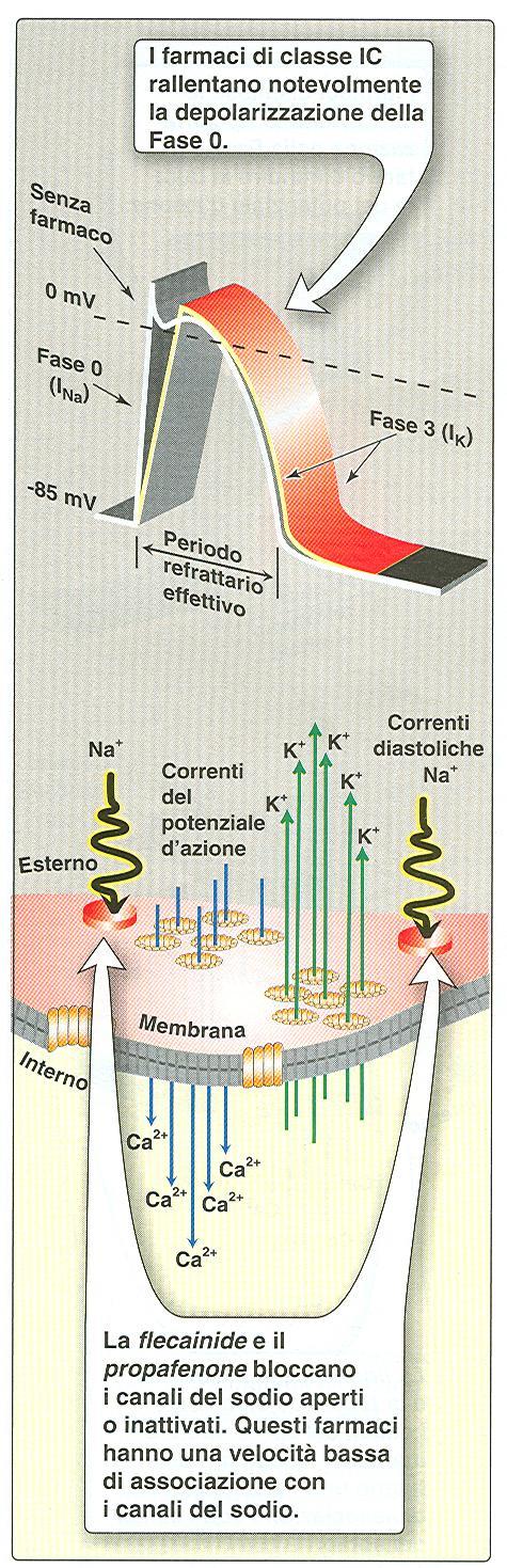 ENCAINIDE FLECAINIDE