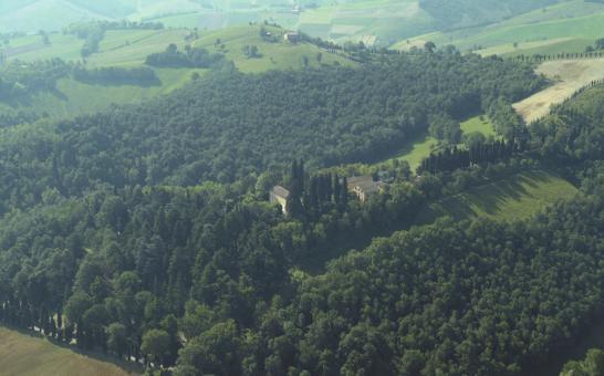 Nelle pendici dei colli le aree coltivate a seminativo e vigneto si intercalano ai boschi.