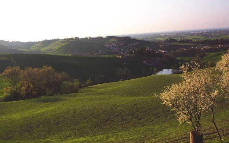 6 di 7 VALO ESTETICO PERCETTIVO. l introduzione del valore estetico-percettivo, che ingloba la sezione bene e contesto paesaggistico.