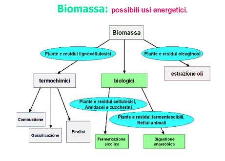 la combustione diretta, con conseguente produzione di calore da utilizzare per il riscaldamento domestico;civile e industriale o per la generazione di vapore (forza motrice o produzione di energia