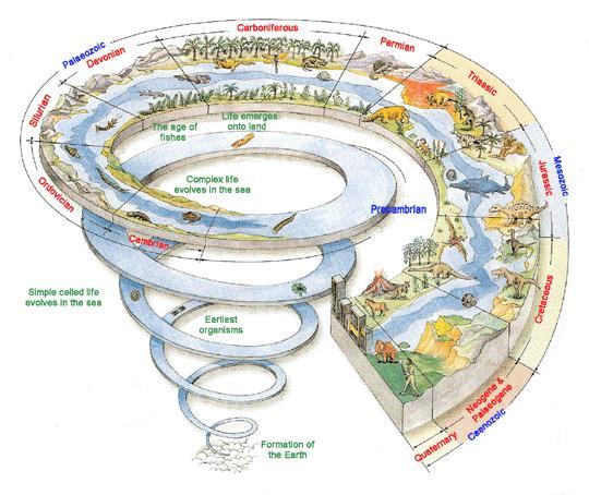 FSI - Timeline