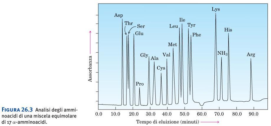 Peptidi: determinazione della sequenza primaria Analisi degli amminoacidi: il peptide viene idrolizzato completamente con Cl (6, 24 h, 110 C) e la miscela di amminoacidi viene separata per