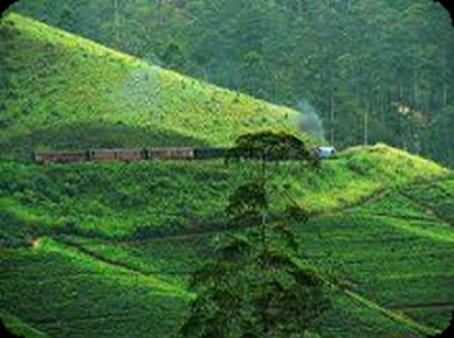 Giorno 05 KANDY NUWARA ELIYA 85 km (viaggio in treno di 3 ½ ore) Dopo colazione, visita alla città di Kandy, inclusa visita al Botanical Garden a Peradeniya.