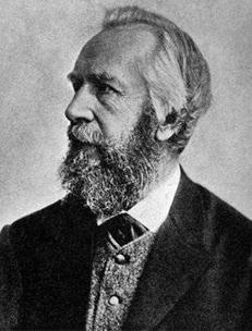 Haeckel ha promosso e reso popolare l'opera di Charles Darwin in Germania e ha sviluppato la teoria, poi superata, della ricapitolazione esponendola in forma scientifica (l'ontogenesi