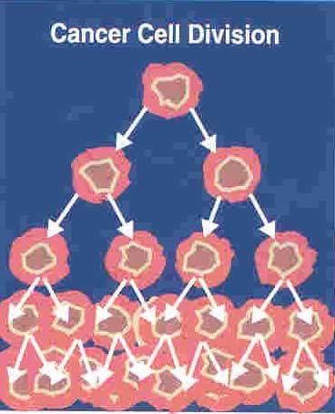 Cancro: Un fenomeno patologico Un carcinogen (agente che causa il cancro) può provocare
