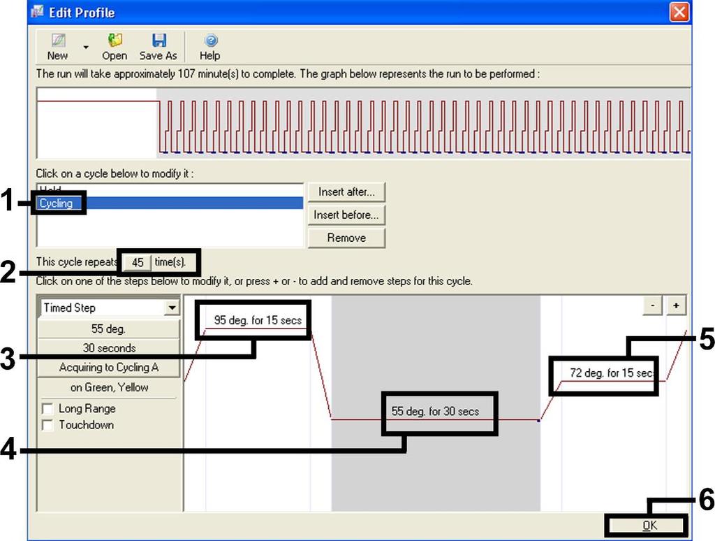 Figura 8. Amplificazione del DNA.