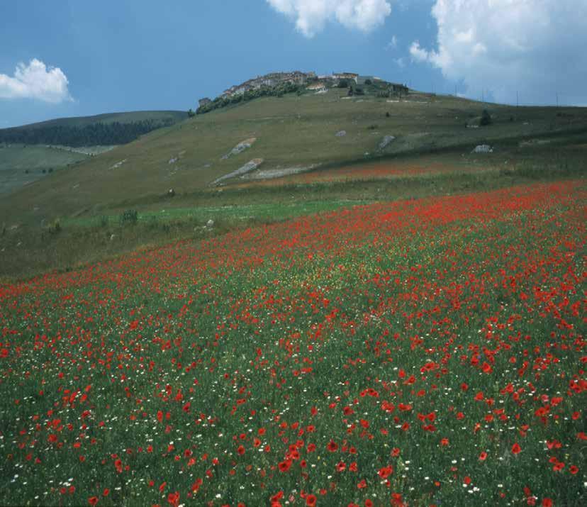 zionale e internazionale per due specificità: i suoi prodotti tipici e la meravigliosa Fioritura.