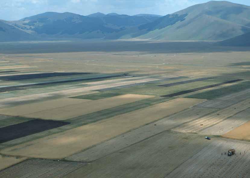 Inoltre, queste due peculiarità del territorio sono legate tra di loro, poiché, secondo i Castellucciani, le caratteristiche organolettiche particolari della loro lenticchia, derivano, oltre che da