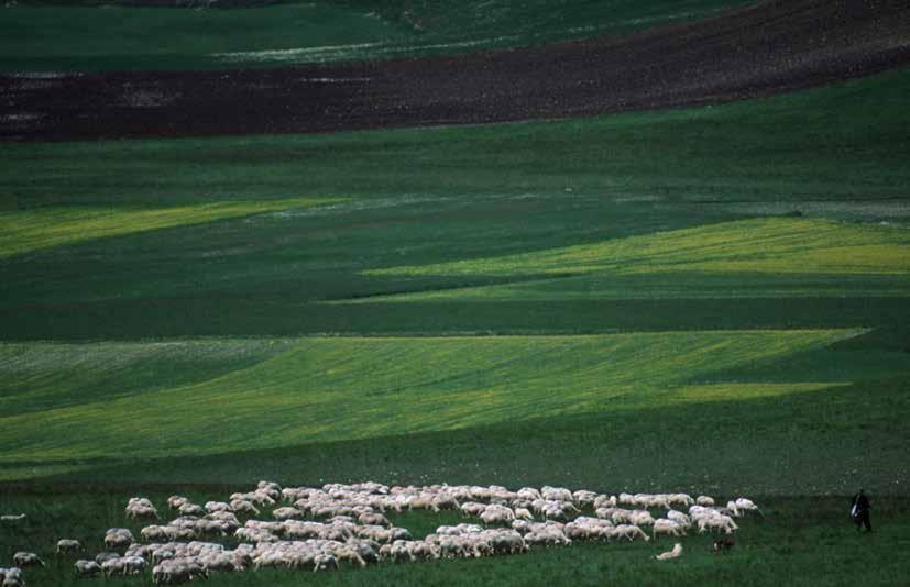 Questo territorio, fortemente rurale, si è sviluppato negli ultimi vent anni, dopo epoche di abbandono totale.