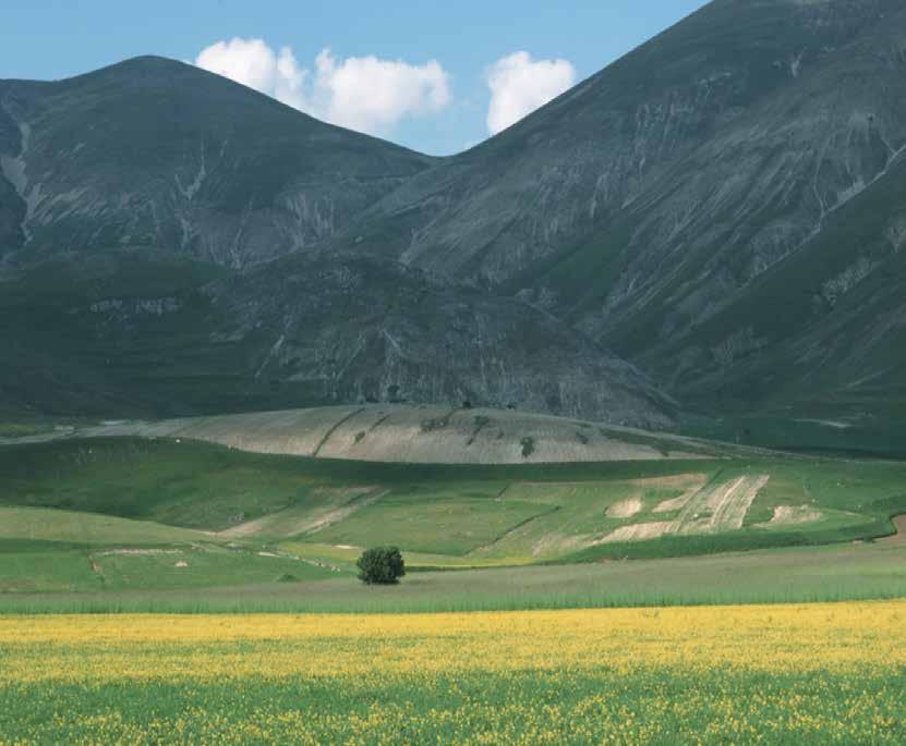 Questi due fattori sono, infatti, quelli che hanno reso famoso il territorio a