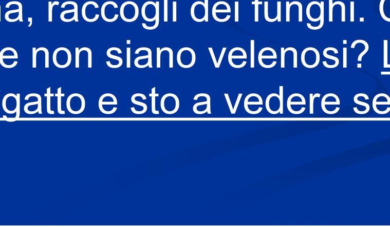 7) All aria aperta In campagna, raccogli dei funghi.