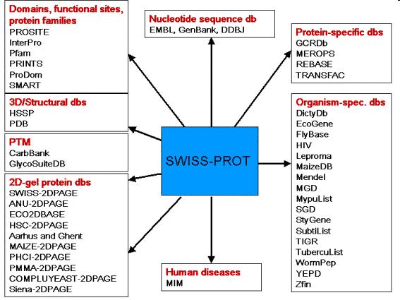 Interattività e dati incrociati L interattività ha un ruolo centrale per una banca dati, perché permette di navigare tra le sue entries e quelle di