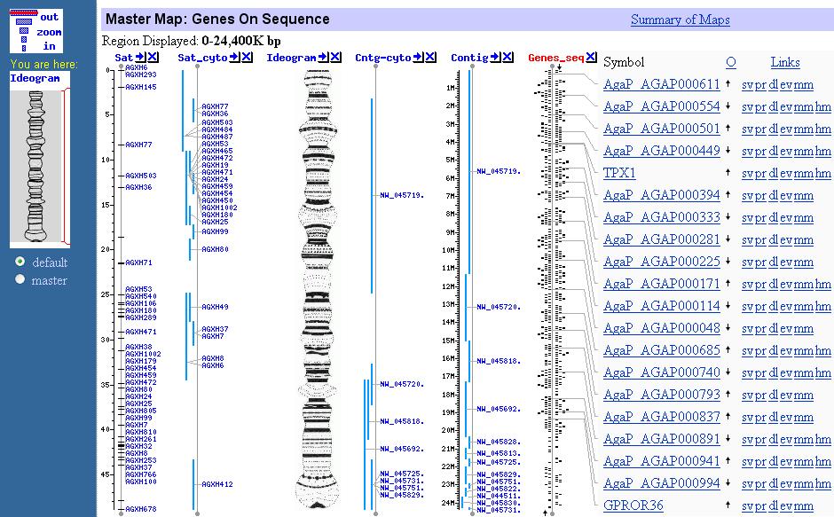 Genome browser NCBI Relativamente semplice, tramite lo zoom è possibile aumentare o diminuire il