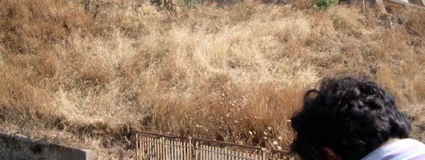 caotica di un'area oggetto di una precedente frana