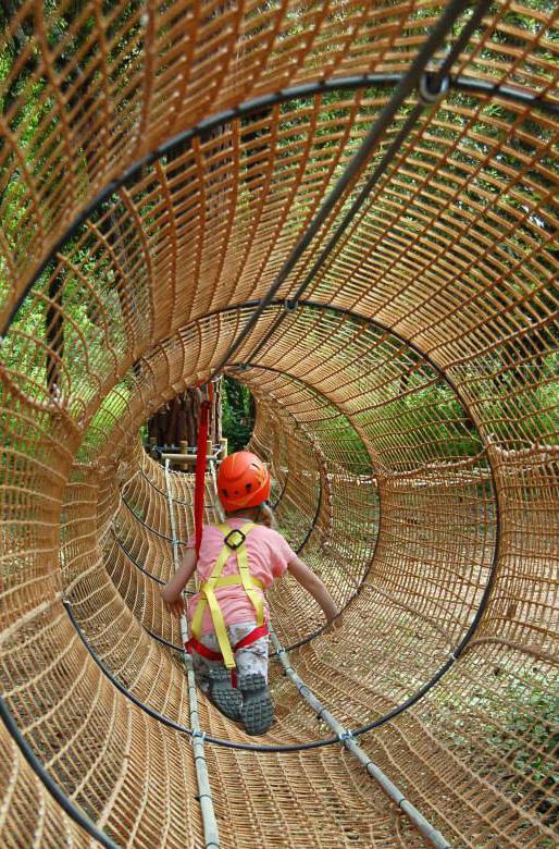 I percorsi per bambini hanno una altezza massima di 1,5 metri; gli altri percorsi hanno altezze da terra variabili tra 4 e 11 metri.