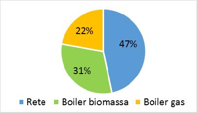 Soluzione 1 Piccola rete a biomassa 1/3 70 C Costi di