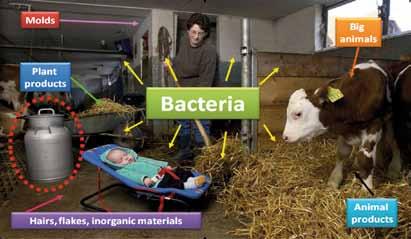 immigrazione e allergopatie respiratorie Figura 1 Esemplificazione delle complesse interazioni tra il microambiente di fattoria e l uomo Molds Plant products Hairs, flakes, inorganic materials E però