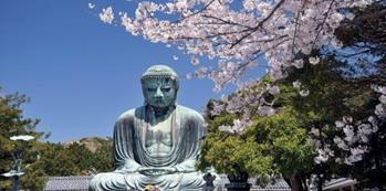 Nel pomeriggio visiteremo il santuario scintoista di Itsukushima e il famoso Torii galleggiante sull isola di Miyajima, una delle attrazioni giapponesi più fotografate. Rientro a Kyoto in serata.