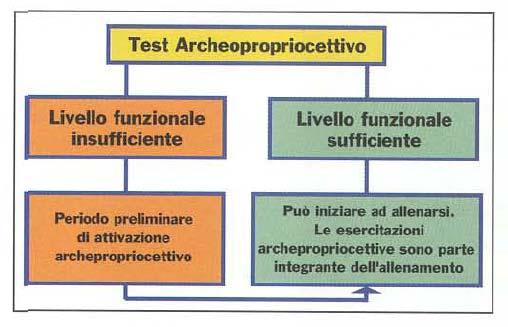 Questa rivoluzionaria metodologia di allenamento derivata da anni di studi ed esperienze pratiche, consente agli operatori di disporre di una