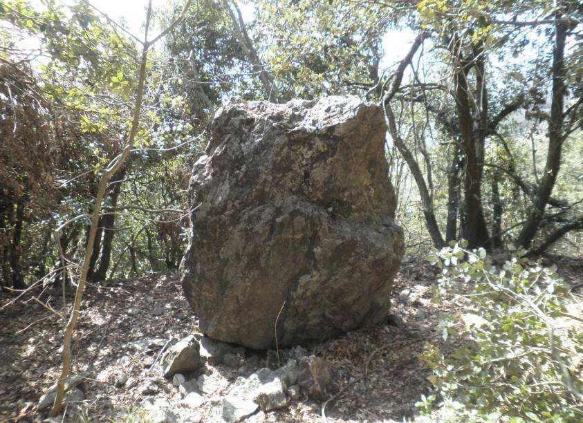 2. Il presunto Menhir.