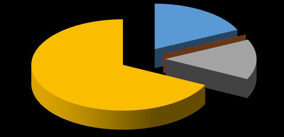 I Fondi Pensione Preesistenti OICR Alternativi Alt altro 271.247.069 67,71% PE venture 72.047.145 17,98% Private debt 128.135 0,03% Infra rinnovabili 57.173.