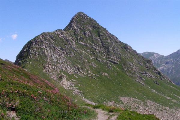 Percorsi panoramici I percorsi proposti (di cui 7 percorribili anche con la Mountain Bike o l e-bike) sono escursioni facili che, attraverso la fitta rete di sentieri segnalati, permettono di