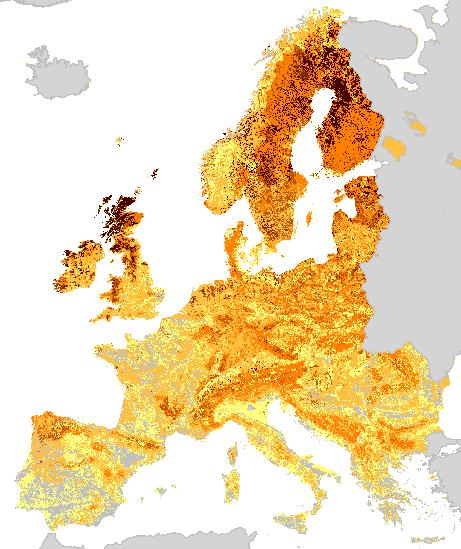 Carbonio organico (%) nell orizzonte superficiale (0-30 cm) dei suoli