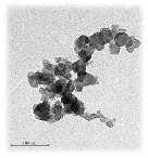 Introduzione alla problematica L aerosol atmosferico