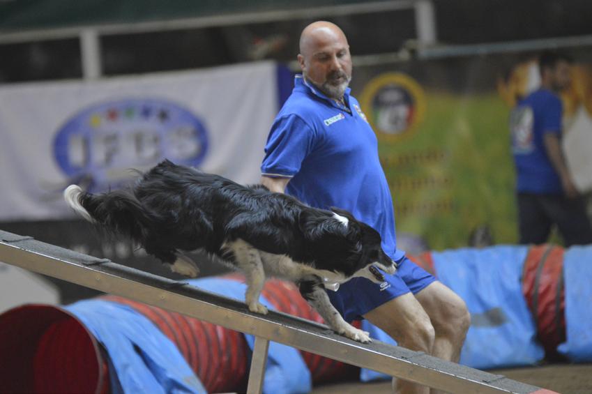 Sul campo di agility gli atleti sono due, io e la mia Milù, pronti a dare il massimo in pochi secondi, scattanti e affiatati.