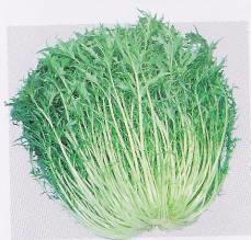 Brassica rapa (narinosa