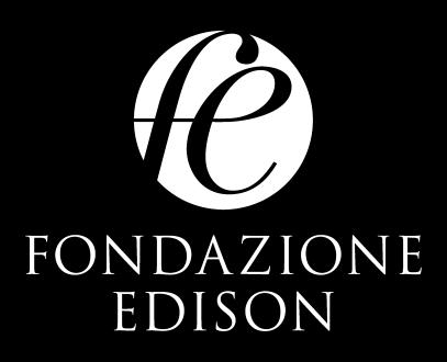 (Vicepresidente Fondazione Edison; Docente di Economia