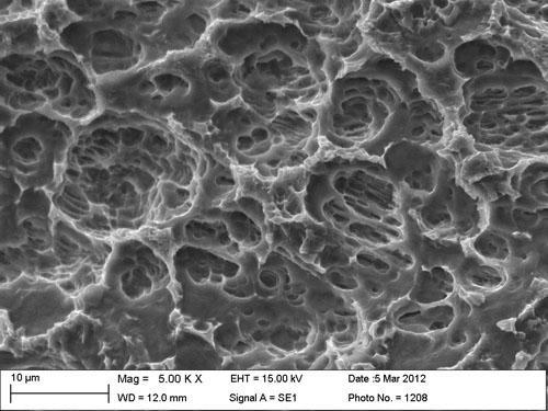 trattamento di superﬁcie Nelle immagini potete vedere un