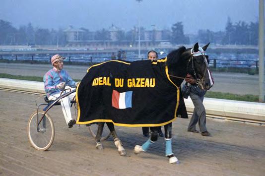 La tradizione del Gran Premio delle Nazioni e della Coppa di Milano Era il 1952 quando l avvocato Antonio Di Capua, storico segretario della Sire (Società per l incoraggiamento delle razze equine),