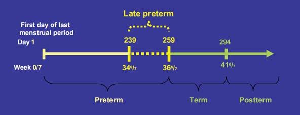 In base all età gestazionale LATE PRETERM Raju, 2006* Term 23 24 25 26 27 28 29 30 31 32 33 34 35 36 37 38 39 40 41 Very