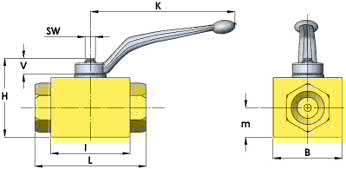 315 56,5 BSP BK3 1.1/4TV 1" 1/4 120 66 58 83 65 29,5 14 14 315 60 BSP BK3 1.