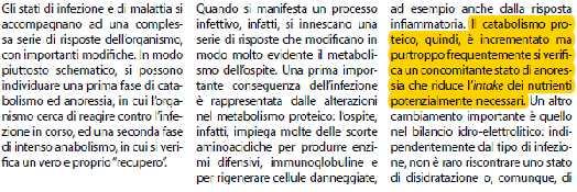 Cosa succede quando ci ammaliamo Catabolismo proteico Intake